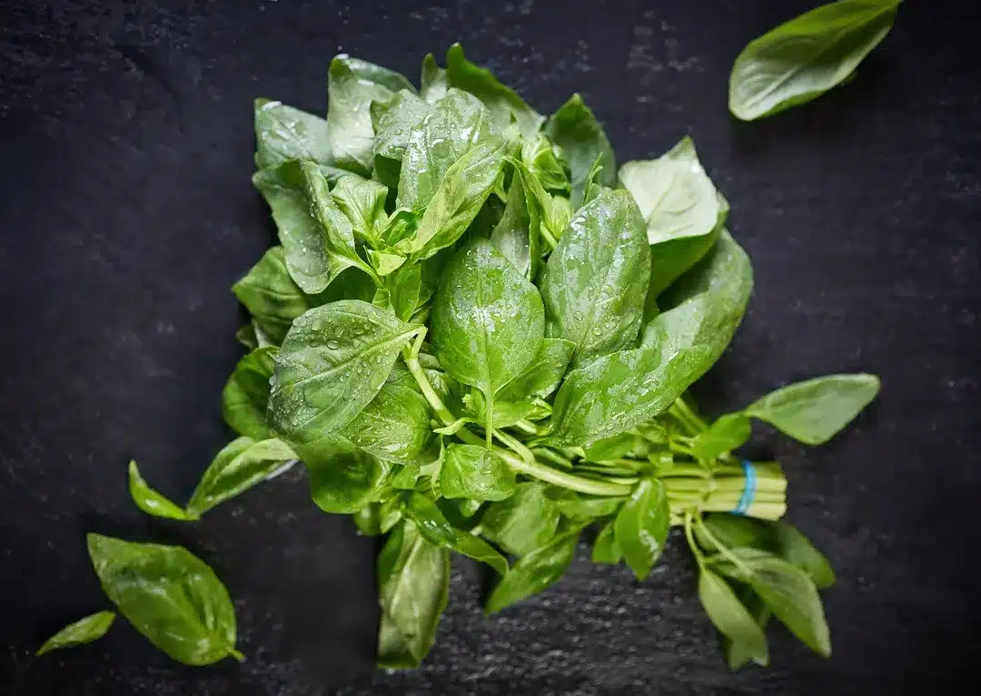 sliding carousel Basil 2 X5