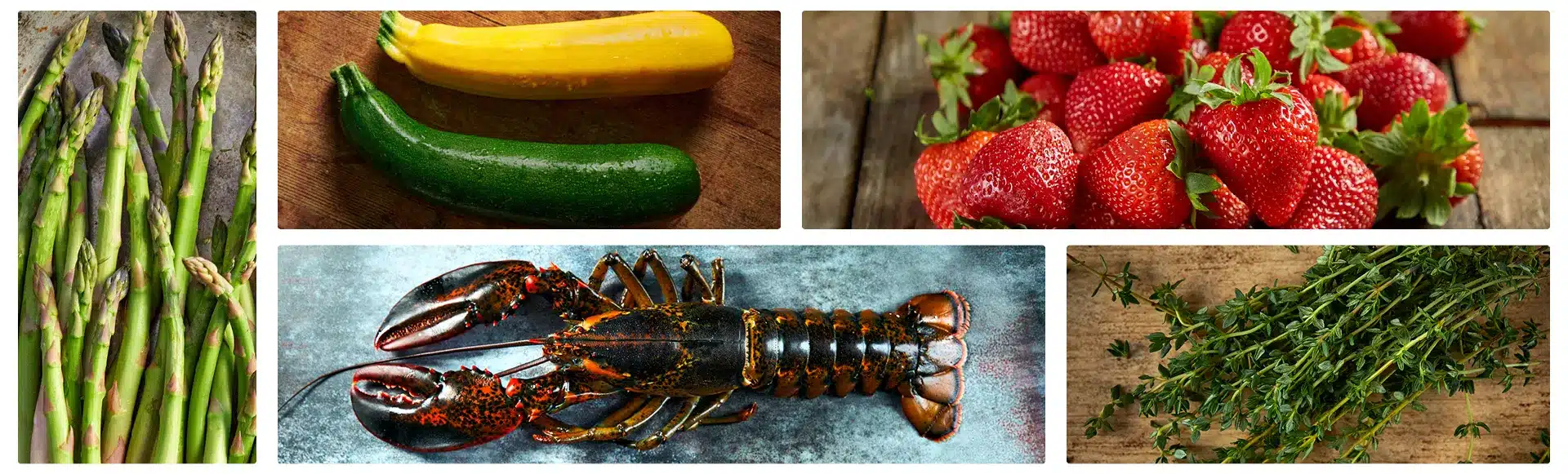 ss26 ingredients banner